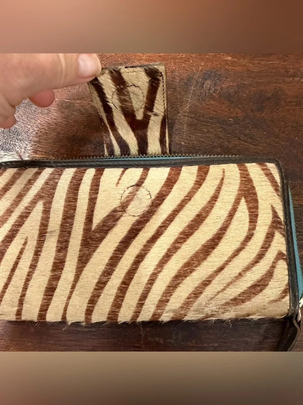 Vintage Boden Zebra Calf Hair turquoise trim zipper wallet